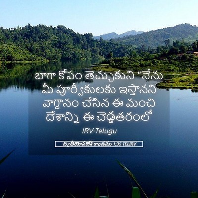 Picture 05 - ద్వితీయోపదేశ కాండము 1:35 TELIRV - బాగా కోపం - Bible Verse Picture
