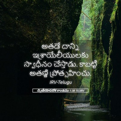 Picture 05 - ద్వితీయోపదేశ కాండము 1:38 TELIRV - అతడే దాన్ని - Bible Verse Picture
