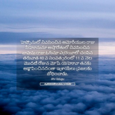 Picture 05 - ద్వితీయోపదేశ కాండము 1:4 TELIRV - హెష్బోనులో - Bible Verse Picture