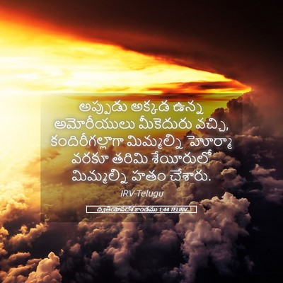 Picture 05 - ద్వితీయోపదేశ కాండము 1:44 TELIRV - అప్పుడు అక్కడ - Bible Verse Picture