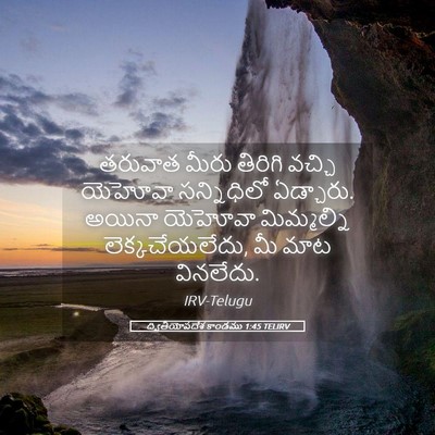 Picture 05 - ద్వితీయోపదేశ కాండము 1:45 TELIRV - తరువాత మీరు - Bible Verse Picture
