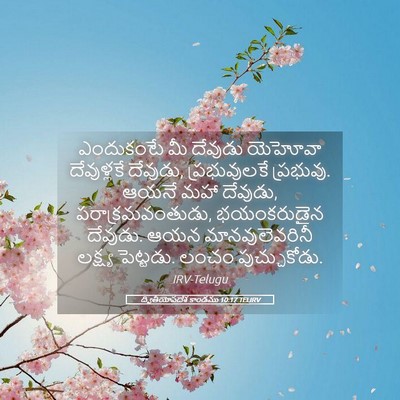 Picture 05 - ద్వితీయోపదేశ కాండము 10:17 TELIRV - ఎందుకంటే మీ - Bible Verse Picture