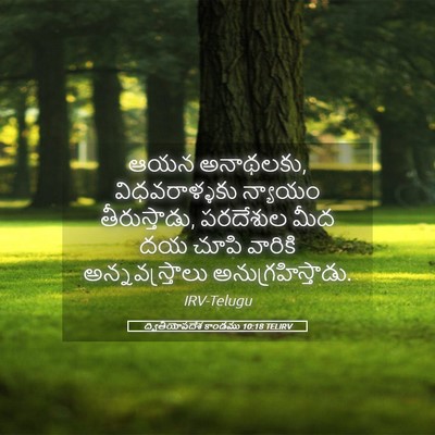 Picture 05 - ద్వితీయోపదేశ కాండము 10:18 TELIRV - ఆయన అనాథలకు, - Bible Verse Picture