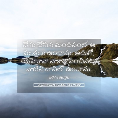 Picture 05 - ద్వితీయోపదేశ కాండము 10:5 TELIRV - నేను చేసిన - Bible Verse Picture