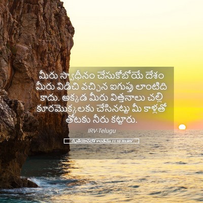 Picture 05 - ద్వితీయోపదేశ కాండము 11:10 TELIRV - మీరు స్వాధీనం - Bible Verse Picture
