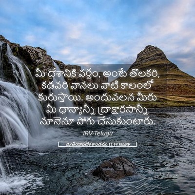 Picture 05 - ద్వితీయోపదేశ కాండము 11:14 TELIRV - మీ దేశానికి వర్షం, - Bible Verse Picture