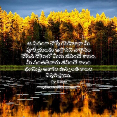 Picture 05 - ద్వితీయోపదేశ కాండము 11:21 TELIRV - ఆ విధంగా చేస్తే - Bible Verse Picture