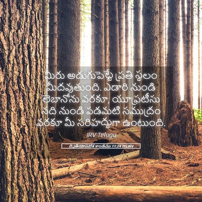Picture 05 - ద్వితీయోపదేశ కాండము 11:24 TELIRV - మీరు అడుగుపెట్టే - Bible Verse Picture