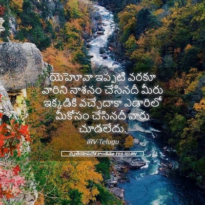 Picture 05 - ద్వితీయోపదేశ కాండము 11:5 TELIRV - యెహోవా ఇప్పటి - Bible Verse Picture
