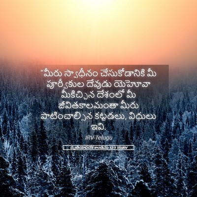 Picture 05 - ద్వితీయోపదేశ కాండము 12:1 TELIRV - “మీరు స్వాధీనం - Bible Verse Picture