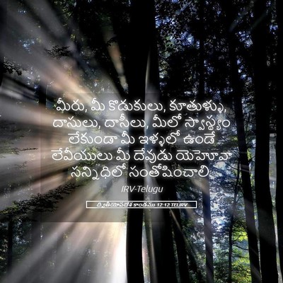 Picture 05 - ద్వితీయోపదేశ కాండము 12:12 TELIRV - మీరు, మీ కొడుకులు, - Bible Verse Picture