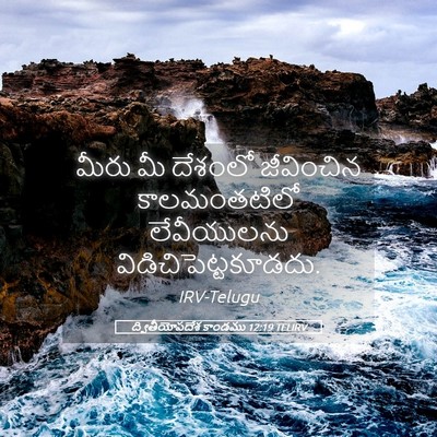 Picture 05 - ద్వితీయోపదేశ కాండము 12:19 TELIRV - మీరు మీ దేశంలో - Bible Verse Picture