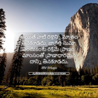 Picture 05 - ద్వితీయోపదేశ కాండము 12:23 TELIRV - అయితే వాటి - Bible Verse Picture