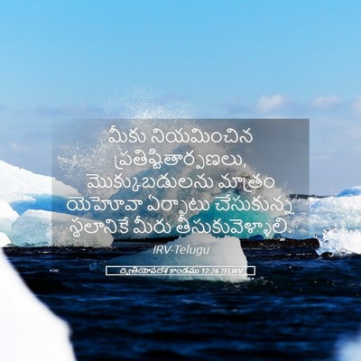 Picture 05 - ద్వితీయోపదేశ కాండము 12:26 TELIRV - మీకు నియమించిన - Bible Verse Picture