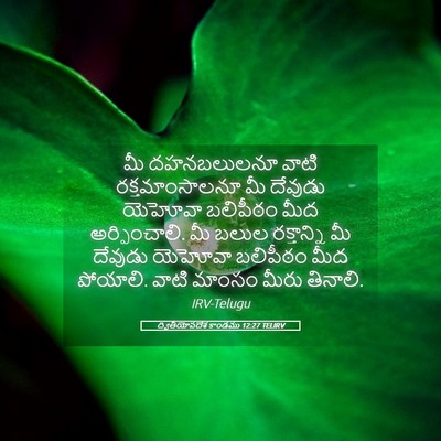 Picture 05 - ద్వితీయోపదేశ కాండము 12:27 TELIRV - మీ దహనబలులనూ వాటి - Bible Verse Picture