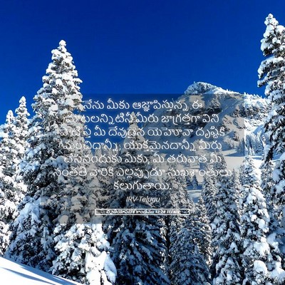 Picture 05 - ద్వితీయోపదేశ కాండము 12:28 TELIRV - నేను మీకు - Bible Verse Picture