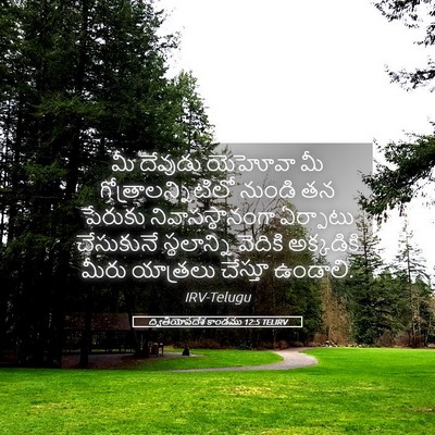 Picture 05 - ద్వితీయోపదేశ కాండము 12:5 TELIRV - మీ దేవుడు యెహోవా - Bible Verse Picture