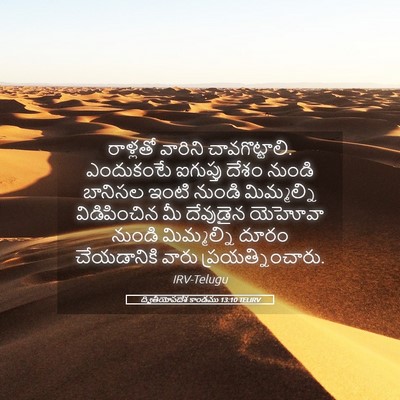 Picture 05 - ద్వితీయోపదేశ కాండము 13:10 TELIRV - రాళ్లతో వారిని - Bible Verse Picture