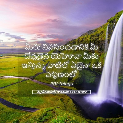 Picture 05 - ద్వితీయోపదేశ కాండము 13:12 TELIRV - మీరు - Bible Verse Picture