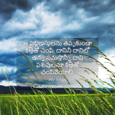 Picture 05 - ద్వితీయోపదేశ కాండము 13:15 TELIRV - ఆ పట్టణస్తులను - Bible Verse Picture