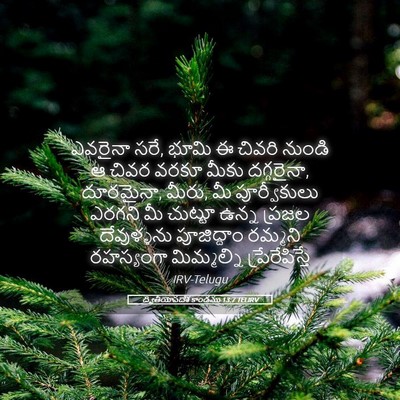 Picture 05 - ద్వితీయోపదేశ కాండము 13:7 TELIRV - ఎవరైనా సరే, భూమి ఈ - Bible Verse Picture