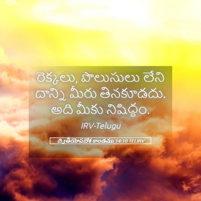 Picture 05 - ద్వితీయోపదేశ కాండము 14:10 TELIRV - రెక్కలు, పొలుసులు - Bible Verse Picture