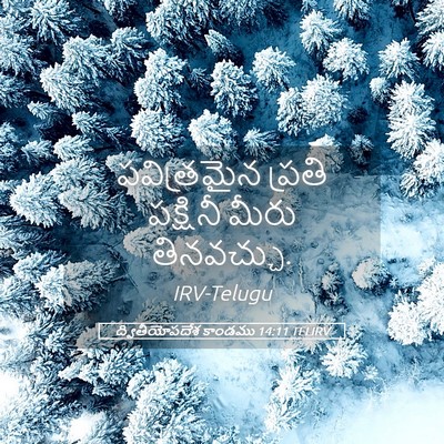 Picture 05 - ద్వితీయోపదేశ కాండము 14:11 TELIRV - పవిత్రమైన ప్రతి - Bible Verse Picture