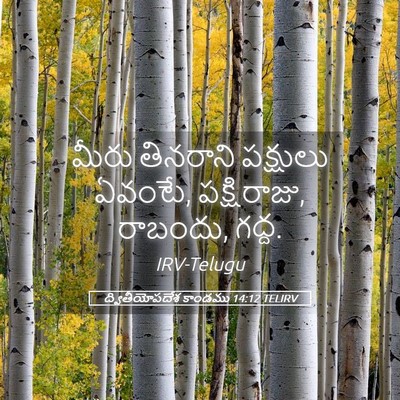 Picture 05 - ద్వితీయోపదేశ కాండము 14:12 TELIRV - మీరు తినరాని - Bible Verse Picture