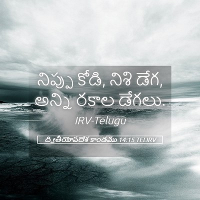 Picture 05 - ద్వితీయోపదేశ కాండము 14:15 TELIRV - నిప్పు కోడి, నిశి - Bible Verse Picture