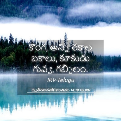 Picture 05 - ద్వితీయోపదేశ కాండము 14:18 TELIRV - కొంగ, అన్ని రకాల - Bible Verse Picture