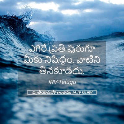 Picture 05 - ద్వితీయోపదేశ కాండము 14:19 TELIRV - ఎగిరే ప్రతి - Bible Verse Picture
