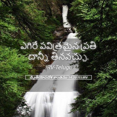 Picture 05 - ద్వితీయోపదేశ కాండము 14:20 TELIRV - ఎగిరే పవిత్రమైన - Bible Verse Picture