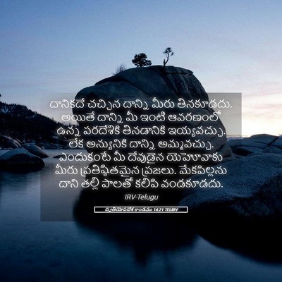 Picture 05 - ద్వితీయోపదేశ కాండము 14:21 TELIRV - దానికదే చచ్చిన - Bible Verse Picture