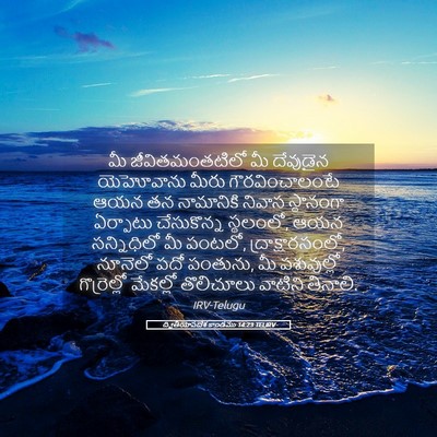 Picture 05 - ద్వితీయోపదేశ కాండము 14:23 TELIRV - మీ జీవితమంతటిలో - Bible Verse Picture