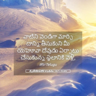 Picture 05 - ద్వితీయోపదేశ కాండము 14:25 TELIRV - వాటిని వెండిగా - Bible Verse Picture