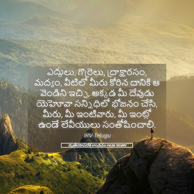 Picture 05 - ద్వితీయోపదేశ కాండము 14:26 TELIRV - ఎద్దులు, గొర్రెలు, - Bible Verse Picture