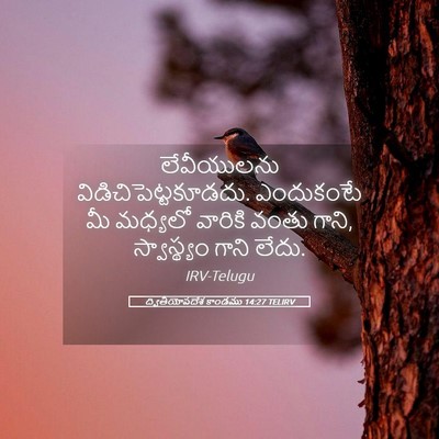 Picture 05 - ద్వితీయోపదేశ కాండము 14:27 TELIRV - లేవీయులను - Bible Verse Picture