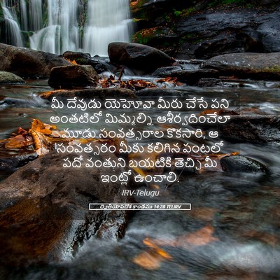 Picture 05 - ద్వితీయోపదేశ కాండము 14:28 TELIRV - మీ దేవుడు యెహోవా - Bible Verse Picture