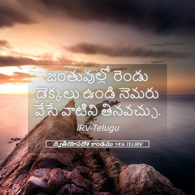 Picture 05 - ద్వితీయోపదేశ కాండము 14:6 TELIRV - జంతువుల్లో రెండు - Bible Verse Picture