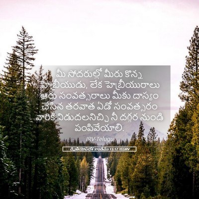 Picture 05 - ద్వితీయోపదేశ కాండము 15:12 TELIRV - మీ సోదరుల్లో మీరు - Bible Verse Picture