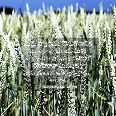 Picture 05 - ద్వితీయోపదేశ కాండము 15:4 TELIRV - మీరు స్వాధీనం - Bible Verse Picture