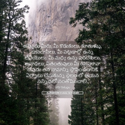 Picture 05 - ద్వితీయోపదేశ కాండము 16:11 TELIRV - అప్పుడు మీరు, మీ - Bible Verse Picture