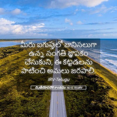 Picture 05 - ద్వితీయోపదేశ కాండము 16:12 TELIRV - మీరు ఐగుప్తులో - Bible Verse Picture