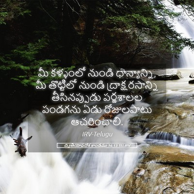 Picture 05 - ద్వితీయోపదేశ కాండము 16:13 TELIRV - మీ కళ్ళంలో నుండి - Bible Verse Picture
