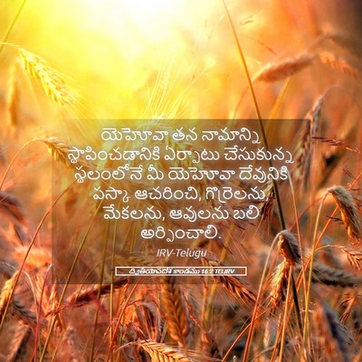 Picture 05 - ద్వితీయోపదేశ కాండము 16:2 TELIRV - యెహోవా తన - Bible Verse Picture