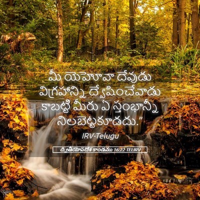 Picture 05 - ద్వితీయోపదేశ కాండము 16:22 TELIRV - మీ యెహోవా దేవుడు - Bible Verse Picture