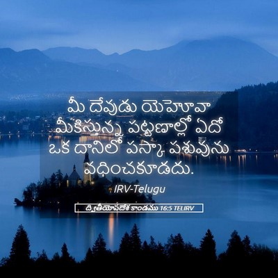 Picture 05 - ద్వితీయోపదేశ కాండము 16:5 TELIRV - మీ దేవుడు యెహోవా - Bible Verse Picture