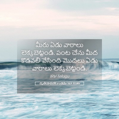 Picture 05 - ద్వితీయోపదేశ కాండము 16:9 TELIRV - మీరు ఏడు వారాలు - Bible Verse Picture