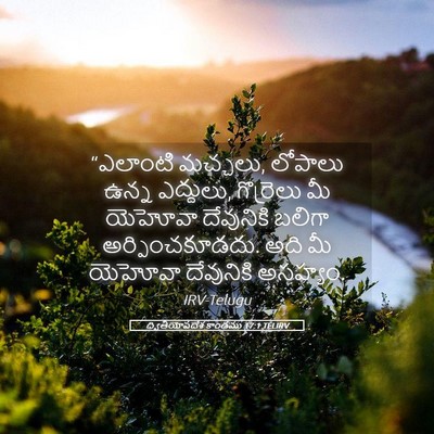 Picture 05 - ద్వితీయోపదేశ కాండము 17:1 TELIRV - “ఎలాంటి మచ్చలు, - Bible Verse Picture