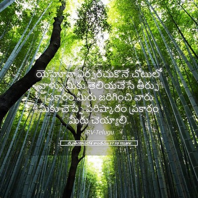 Picture 05 - ద్వితీయోపదేశ కాండము 17:10 TELIRV - యెహోవా - Bible Verse Picture